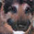 Airbrushed Pet Urn